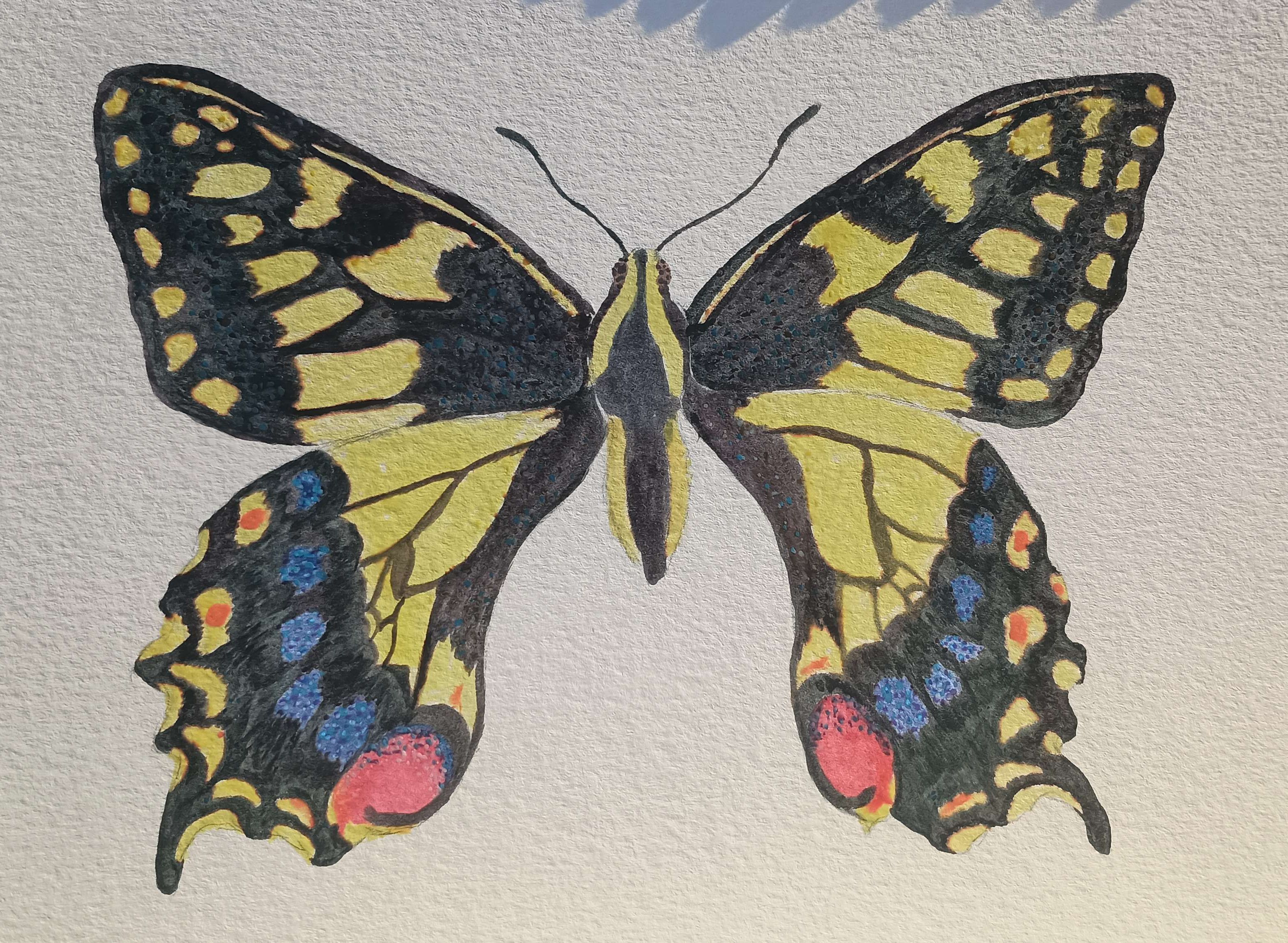 Tiger Swallowtail-Watercolor